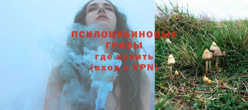 Галлюциногенные грибы Magic Shrooms  кракен ТОР  Бузулук  купить  цена 